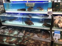 水产区-盒马鲜生(红莲店)