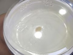 -清真马记宫廷奶酪(广渠门内大街店)