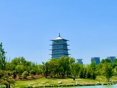 -灞河西岸滨河公园