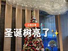 -北京朝阳悠唐皇冠假日酒店