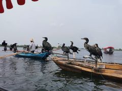 -白洋淀景区