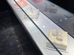 -BLACKSWAN黑天鹅(环球店)