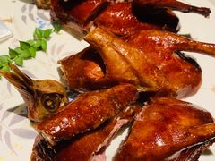 -甄御•海鲜新青岛菜(麦岛店)