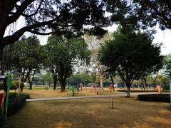 -广州市越秀区育才实验学校