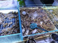 -聚盛源蒸汽海鲜火锅烤肉自助(巨川金海岸购物广场店)