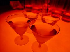 -毛辣果·酸(OHA复兴西路店)