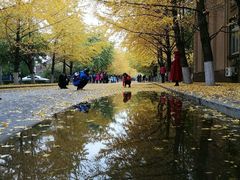 -辽宁大学(崇山校区)