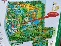 -上海共青森林公园