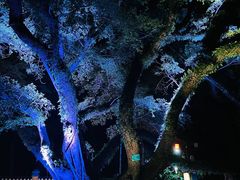 -桂林独秀峰王城景区