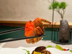 -蘇锦宴·淮扬菜烤鸭·小院(三元桥霄云路店)