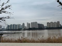 -江心屿景区