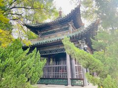 -晋祠公园
