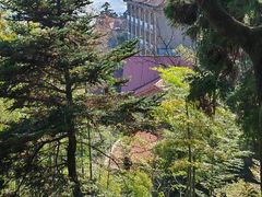 -莫干山风景区