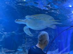 -太平洋海底世界