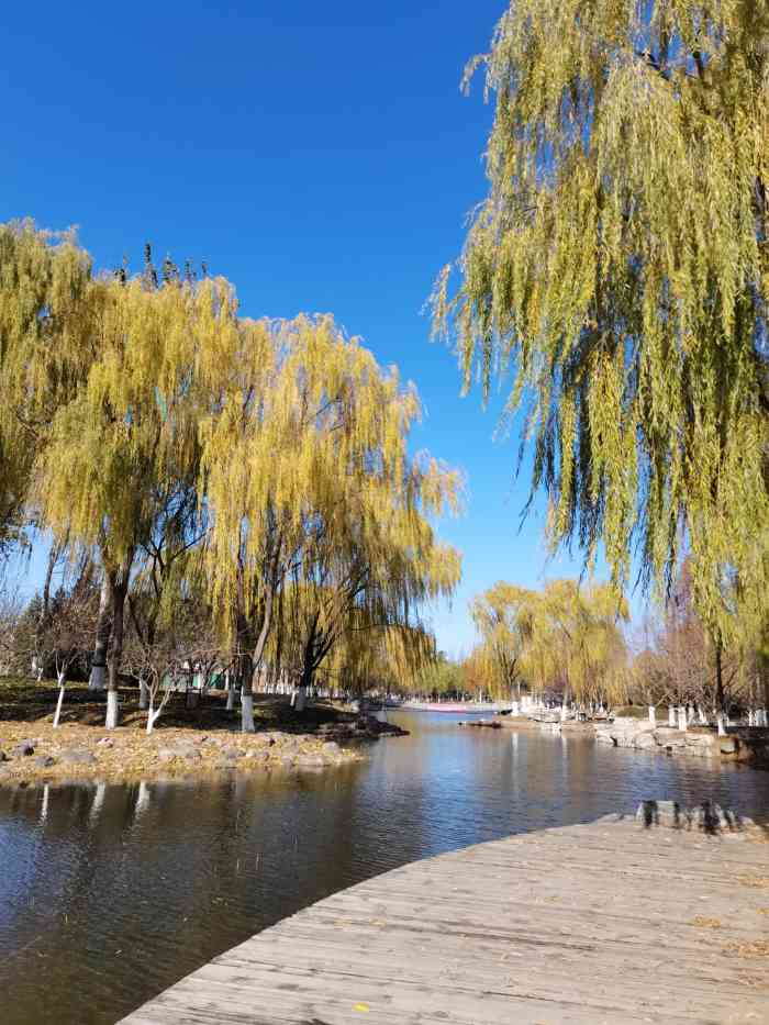 商务富锦公园-"离松美术馆不是很远,可以路过,一路开过来.