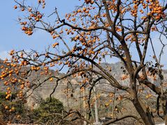 -里口山风景名胜区