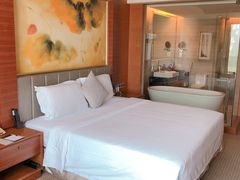 -深圳观澜格兰云天国际酒店