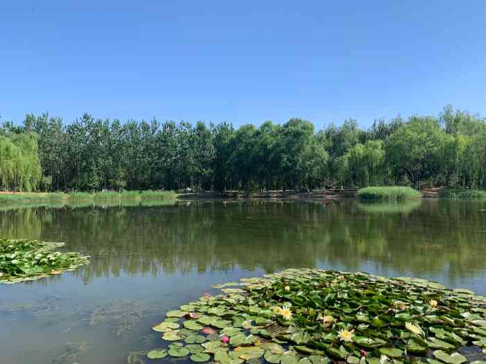 平谷湿地公园-"有停车场9315扫码进入游园,这里风景优.