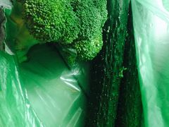 -上海市江桥批发市场经营管理有限公司-停车场