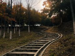 -北宫国家森林公园