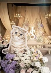 -武汉富力威斯汀酒店·宴会厅