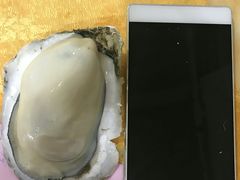 -蚝专家(北滘店)