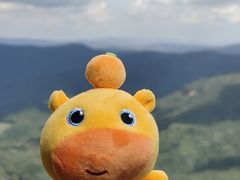 -帽儿山风景区