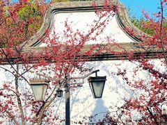 -乌山风景区