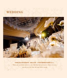 -HELLO你好婚礼婚庆策划