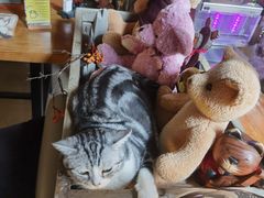 -咖法森林·咖啡  酒吧(天河店)