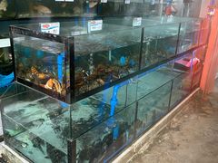 -潘先生海鲜城(神州半岛店)