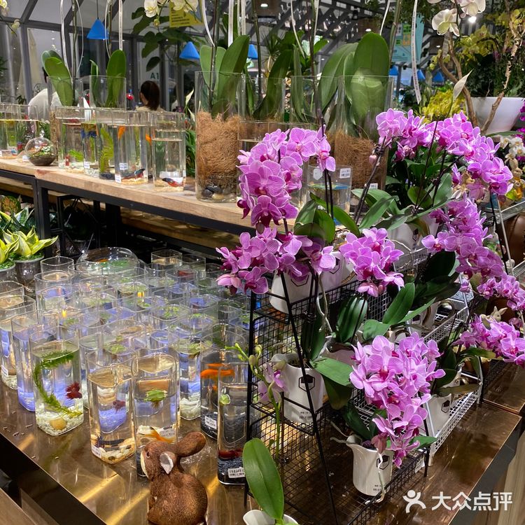 都是花乡