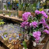都是花乡