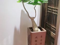 -德迹斋禅意文化茶馆·茶空间·商务洽谈•宴席(桃园店)