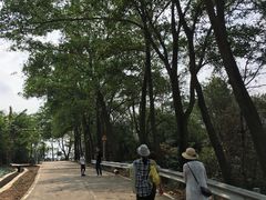 -风云岭森林公园