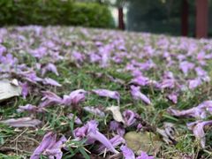 -文华公园(禅城区)