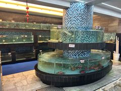 -鹏城人家海鲜酒家·23年老字号(较场尾店)