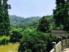 景观位-嘉龙茶庄