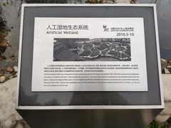 -活水公园