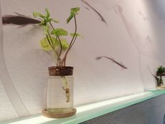 -红小满休闲餐厅(十全街店)