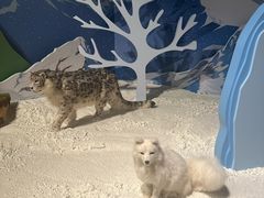 -香港科学馆