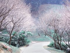 -广州市白云山风景名胜区