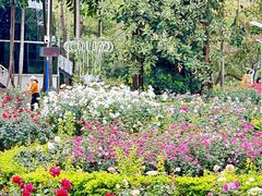 -人民公园(罗湖区)