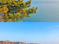-大连星海广场音乐喷泉