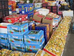 -双福水果批发市场