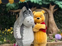 -小熊维尼历险之旅