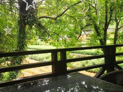 -随意茶庄·地道杭帮农家菜(梅家坞店)