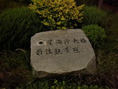 -星海湾跨海大桥