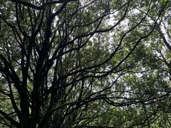 -和顺古镇