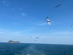 -海驴岛(荣成市)